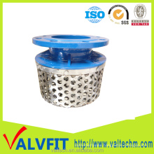 Ductile Iron Rose Strainer flange